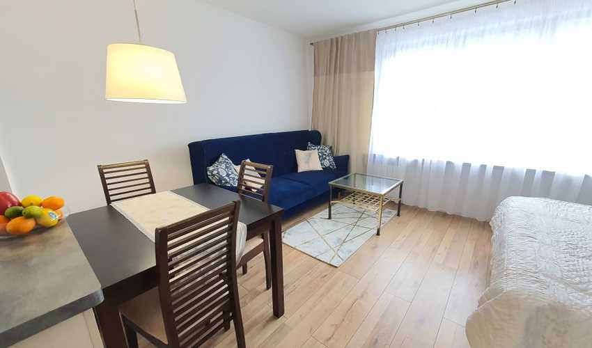 Apartament Anielewicza